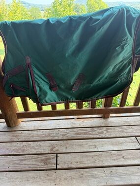 Gladiator colt blanket